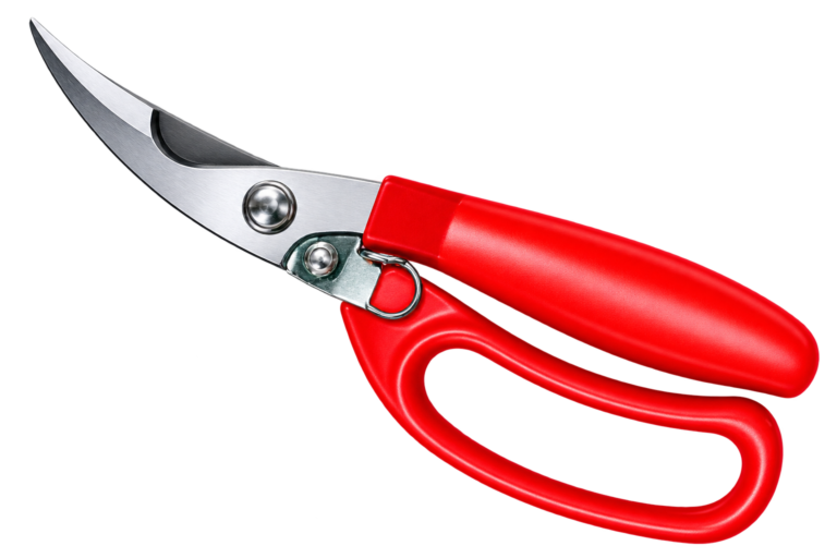 Stainless Steel Plant Cutting Scissors